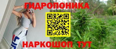 хмурый Абакан