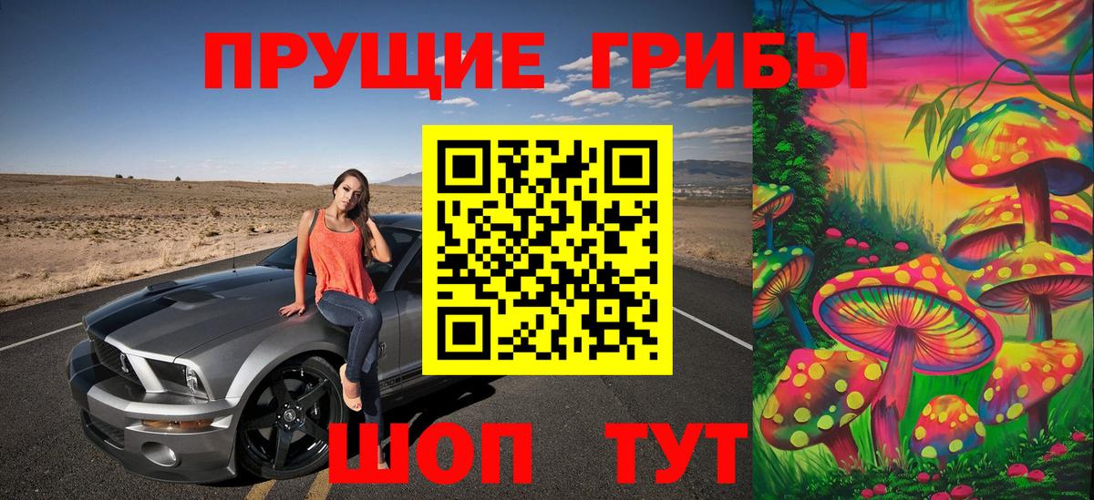 Артёмовский  Галлюциногенные грибы Psilocybe  Вход с VPN 